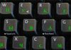 Наклейки на клавиатуру - светло-зеленые (для темных  и светлых клавиш)