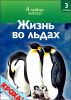 Жизнь во льдах.  Уровень 3.