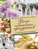 Вкус советских праздников. Праздничные блюда по ГОСТу и не только